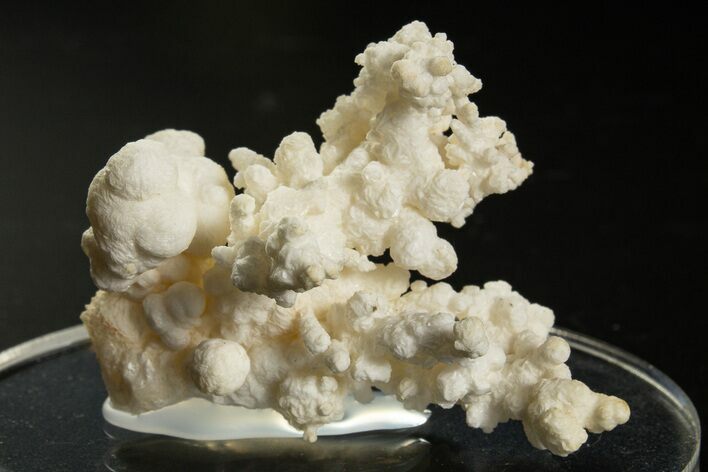 Intricate, Fluorescent Aragonite Formation - Nevada #327495